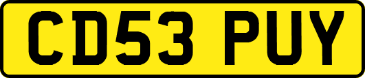 CD53PUY