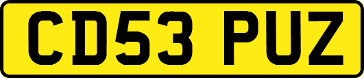 CD53PUZ
