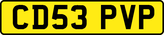 CD53PVP
