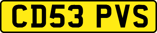 CD53PVS