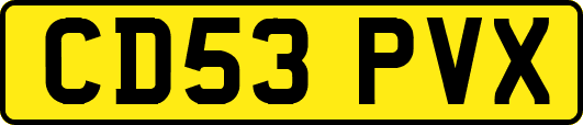CD53PVX