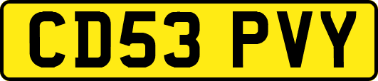 CD53PVY