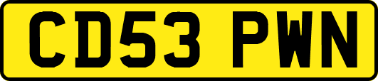 CD53PWN
