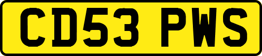 CD53PWS