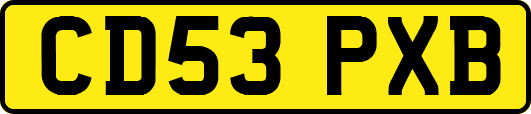 CD53PXB