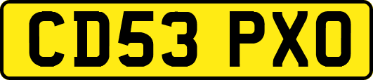 CD53PXO