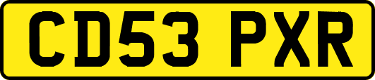 CD53PXR