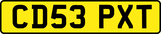 CD53PXT