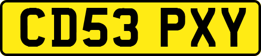CD53PXY