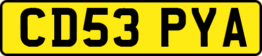 CD53PYA