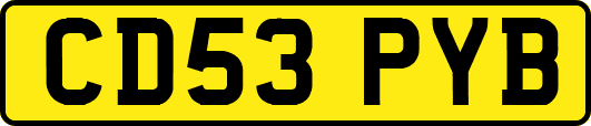 CD53PYB