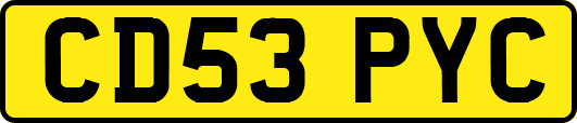 CD53PYC