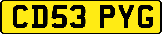 CD53PYG