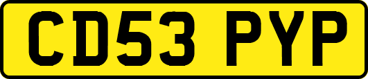 CD53PYP