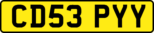 CD53PYY