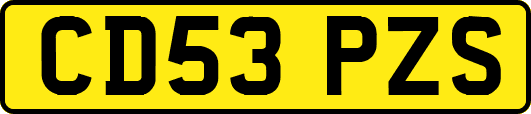 CD53PZS
