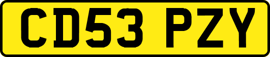 CD53PZY