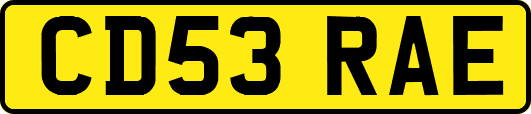 CD53RAE