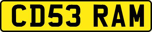 CD53RAM