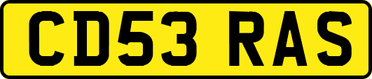 CD53RAS