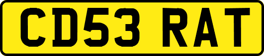 CD53RAT