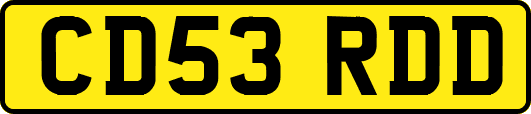 CD53RDD