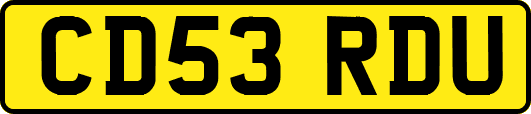 CD53RDU