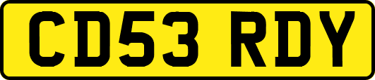 CD53RDY