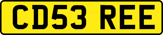 CD53REE
