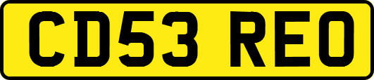 CD53REO