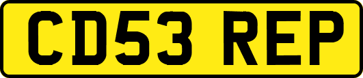CD53REP