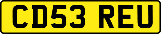 CD53REU
