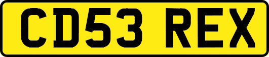 CD53REX