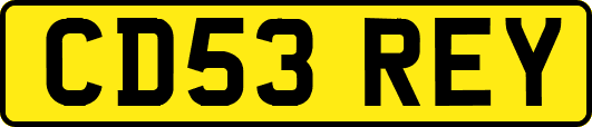 CD53REY