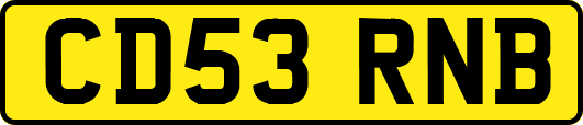 CD53RNB