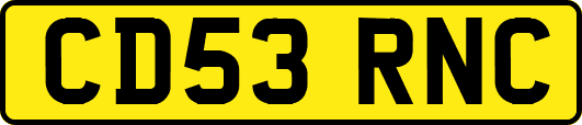 CD53RNC