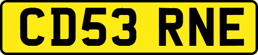 CD53RNE