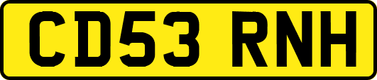 CD53RNH