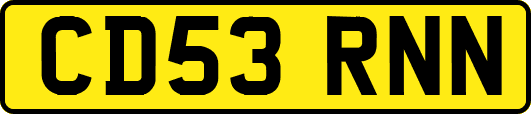 CD53RNN