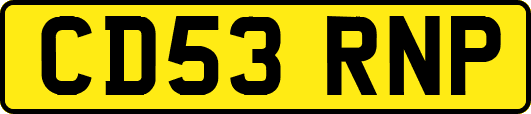 CD53RNP