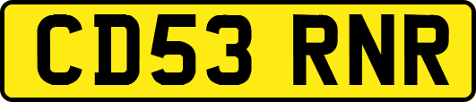 CD53RNR