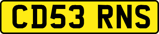 CD53RNS