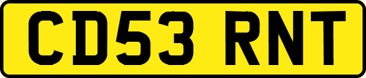 CD53RNT