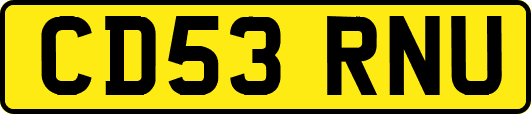 CD53RNU
