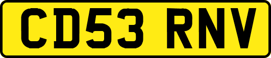 CD53RNV