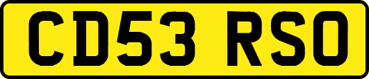 CD53RSO