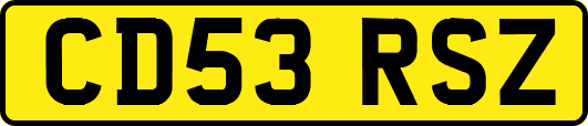 CD53RSZ