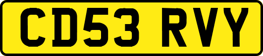 CD53RVY