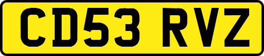 CD53RVZ