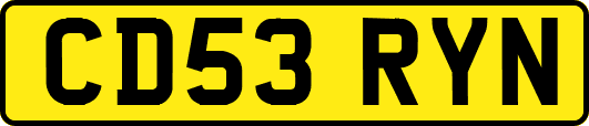 CD53RYN